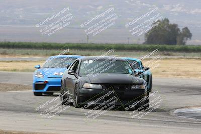 media/May-04-2024-PCA Golden Gate (Sat) [[175910c57a]]/Blue and Green/Cotton Corners/
